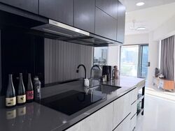 The Rise @ Oxley (D9), Condominium #607980121